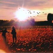 Portraits of Tracy - Drive Home