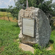 Sad Saga of Vegetarian Creek