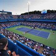 Attend a Pro Tennis Tournament