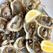 Oysters