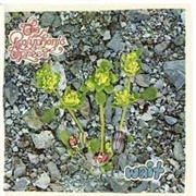 The Polyphonic Spree - Wait