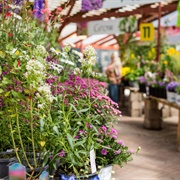 Garden Centres