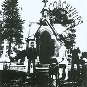 Coachwhips - Ginger Minge