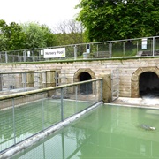 Gweek Seal Sanctuary, Cornwall