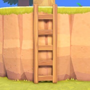 Wooden Ladder Set-Up Kit