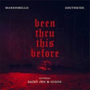 Been Thru This Before - Marshmello, Southside, Giggs, Saint JHN