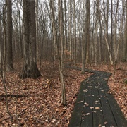 Kendrick Woods State Nature Preserve