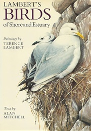 Lambert's Birds of Shore and Estuary (Alan Mitchell)