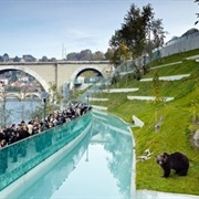 Barenpark (Bear Park), Bern