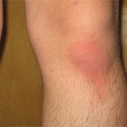 Have Sex on the Carpet