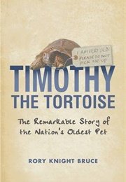 Timothy the Tortoise (Rory Knight Bruce)