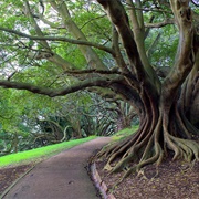 Hill of Albert Park, Auckland, New Zealand