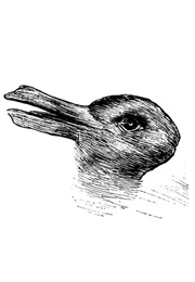 Duck-Rabbit Illusion (Joseph Jastrow - 1892)