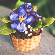 African Violet Cupcake