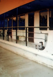 Home 2 (Olaf Breuning) (2007)