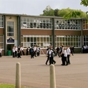 Change Schools More Than Once