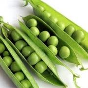 Pea