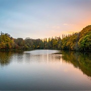 Lymm Dam, Lymm, Cheshire