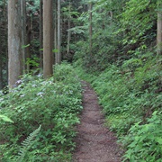 Kōyasan Chōishi-Michi, Wakayama