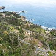 Walsh Landing, California