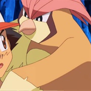 Ash's Pidgeotto