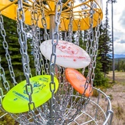 Introduce Somebody to Disc Golf