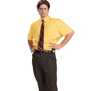 Dwight Shrute Costume