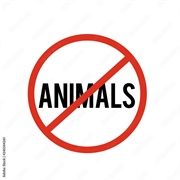 No Animals