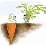 Appearances Can Be Deceptive