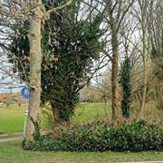 City Park, Philippine