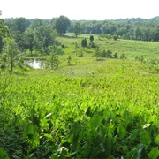 Chaparral Prairie State Nature Preserve