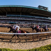 Belmont Park (Belmont Stakes in NY)