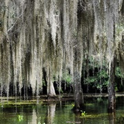 Fairview-Riverside State Park