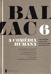 Um Aconchego De Solteirão (Cenas Da Vida Provinciana) (Honoré De Balzac)
