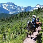 Do Guided Horse Trails