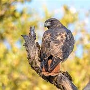 Waterloo Wildlife Research Station (Athens County)