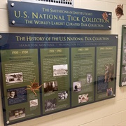 U.S. National Tick Collection
