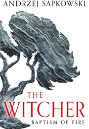 Baptism of Fire (Andrzej Sapkowski)