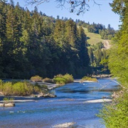 John B. Dewitt Redwoods State Natural Reserve