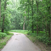 Needmore Conservation Area