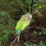 Isla Margarita, Venezuela