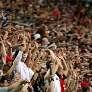 Do the Wave at a Stadium