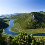 Lake Skadar