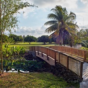 Fruit and Spice Park