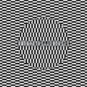 Carter Tutti Void - Transverse