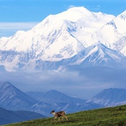 Denali National Park & Preserve