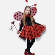 Ladybug Costume