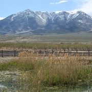 California National Historic Trail