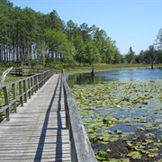 Seminole State Park