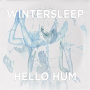 Wintersleep - Hello Hum